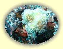 IMG_2007_05_29 14_09_54 * 3072 x 2304 * (1.05MB)